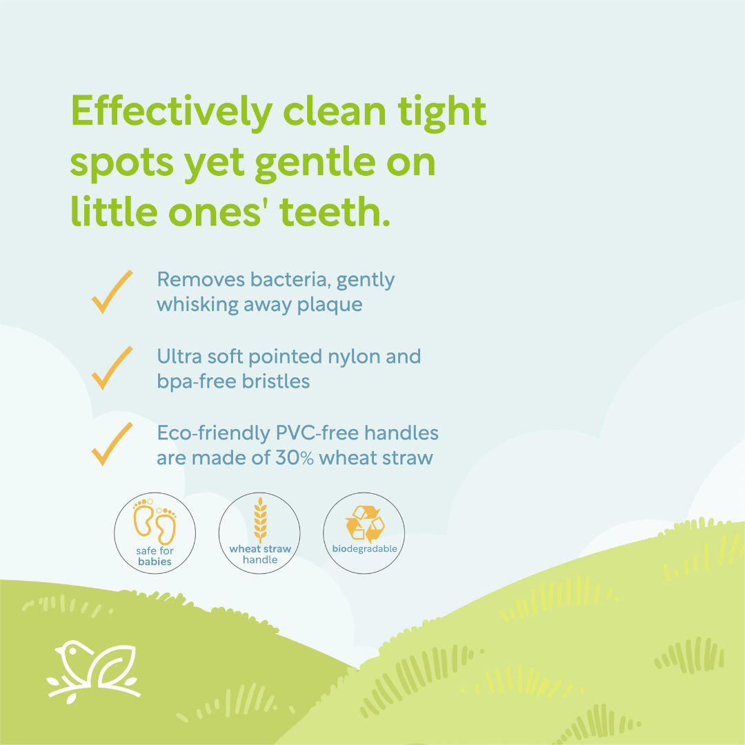 Nature to Nurture Wheat Straw Bamboo Charcoal Toothbrush with Cover (1 to 3 yrs old)