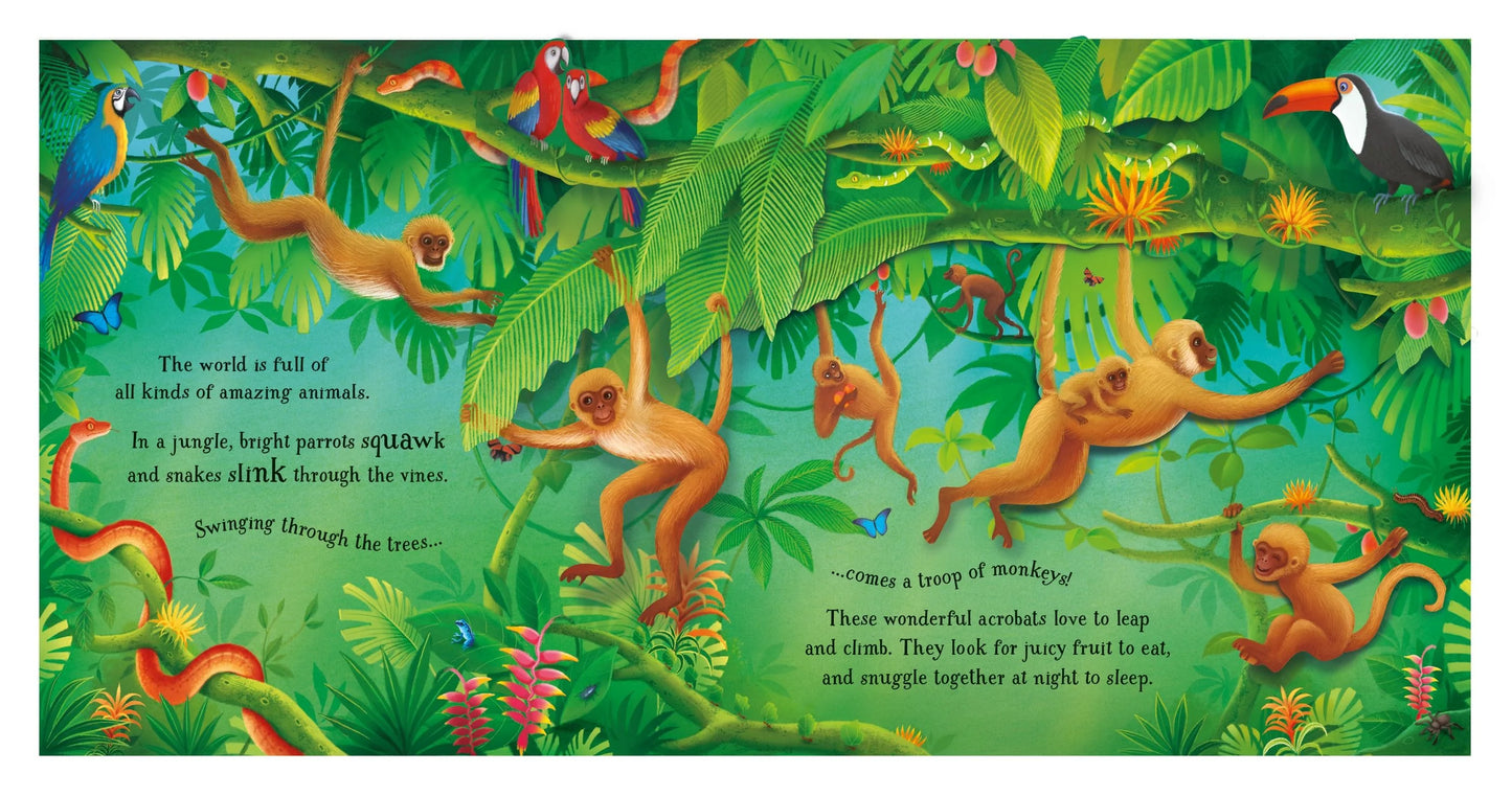 Usborne Pop Up Book: Animals