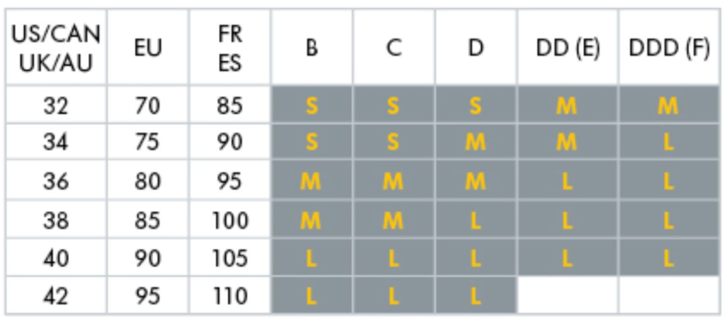 Medela Easy Expression Bustier Bundle