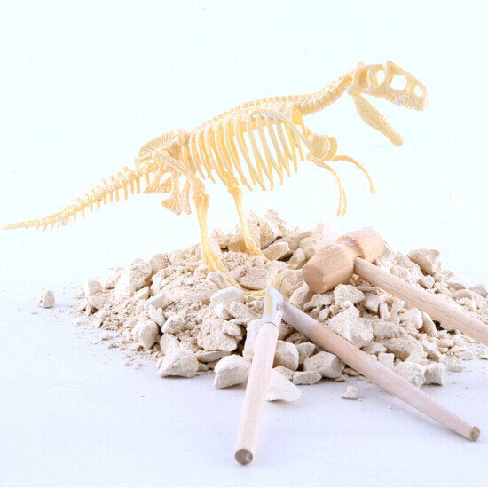Joan Miro Fossils Excavation Kit - Tyrannosaurus Rex