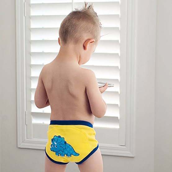 Zoocchini Organic Cotton Potty Training Pants