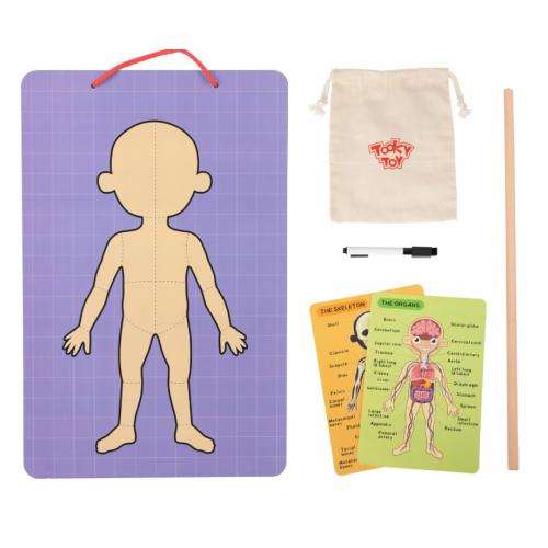 Tooky Toy Magnetic Body Chart