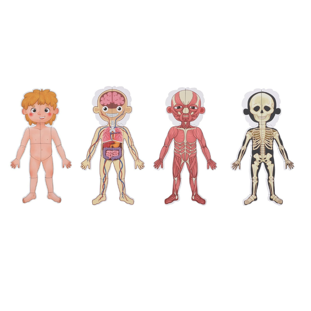 Tooky Toy Magnetic Body Chart