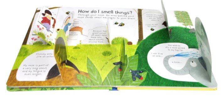 Usborne First Questions & Answers: How Do I See?