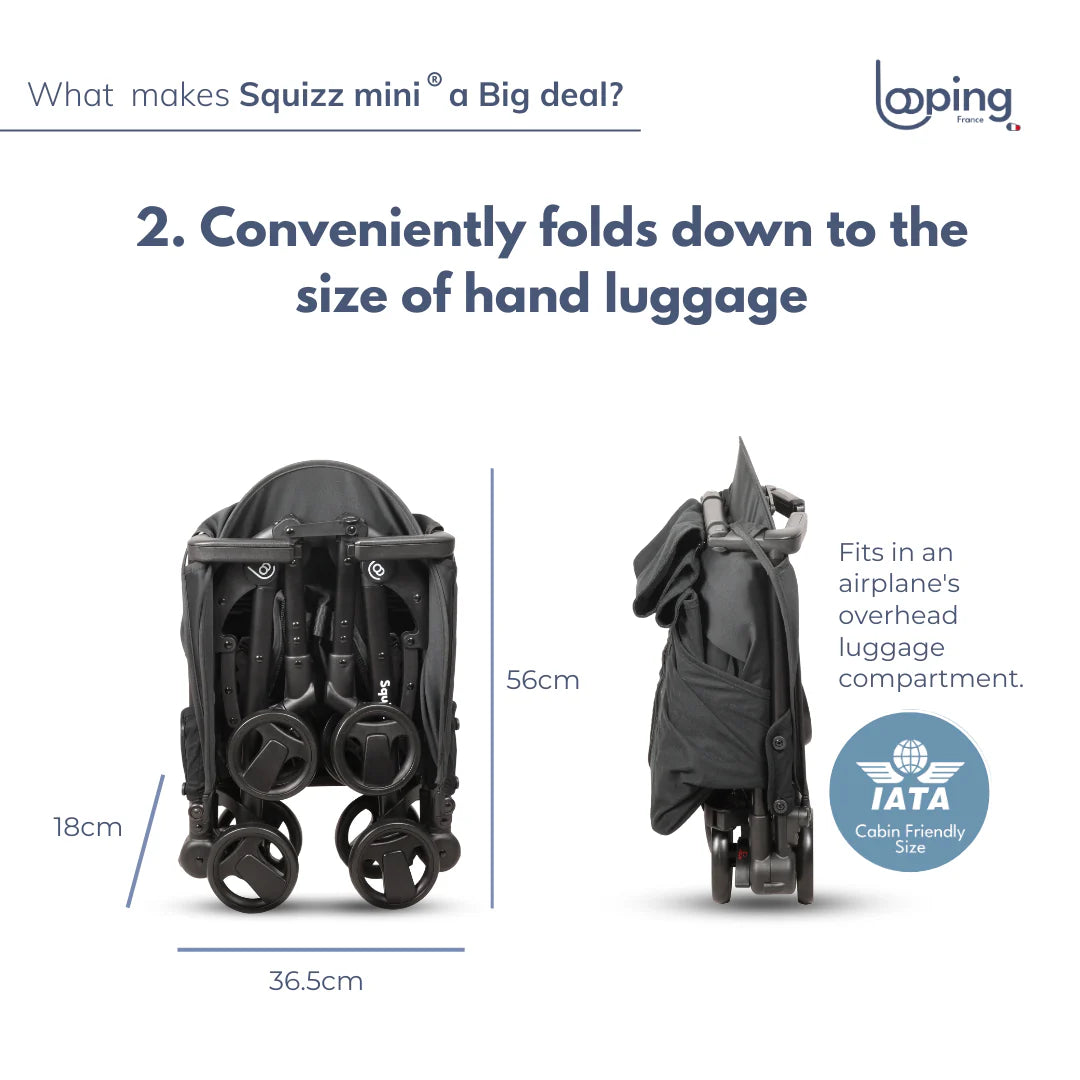 Looping Squizz Mini