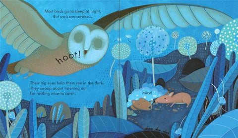 Usborne Peep Inside Night Time