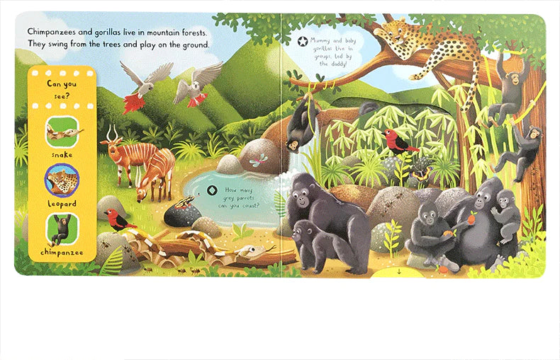 Campbell First Explorers Series: Wild Animals