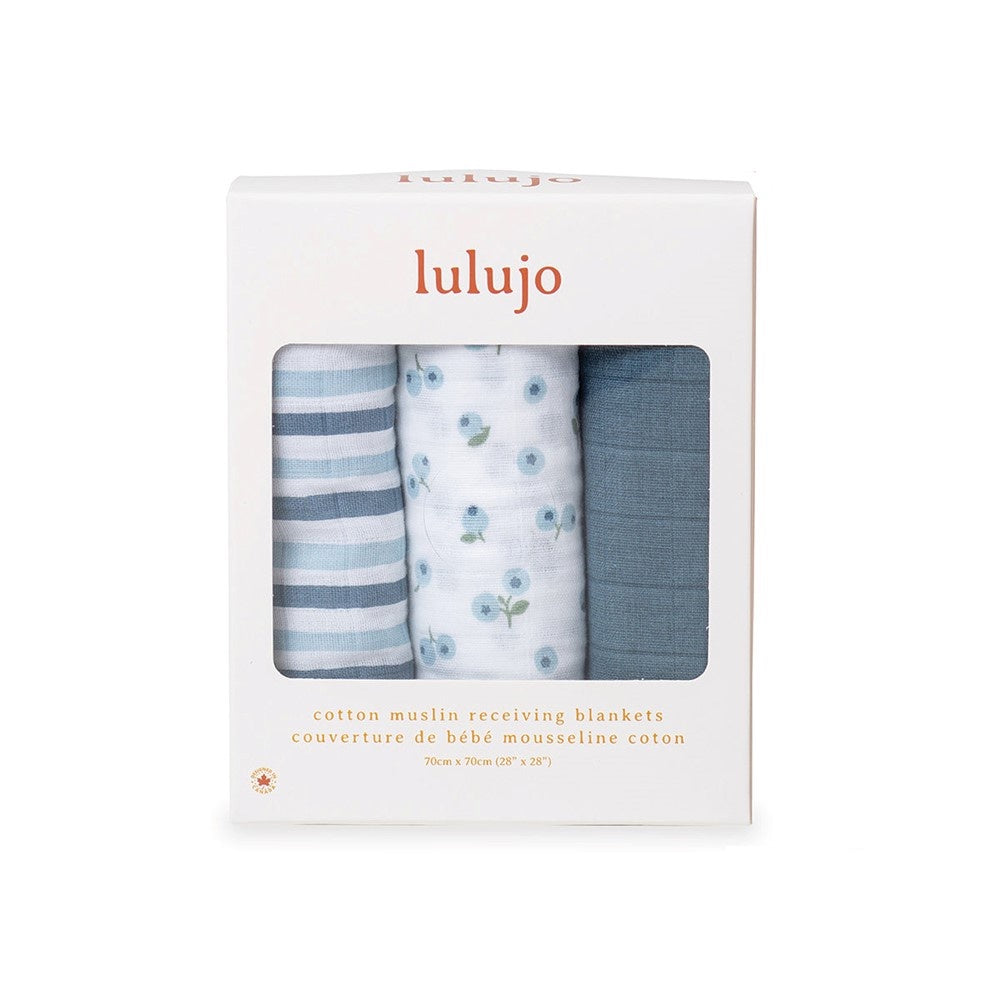 Lulujo Mini Muslin - 27” x 27” (Set of 3)