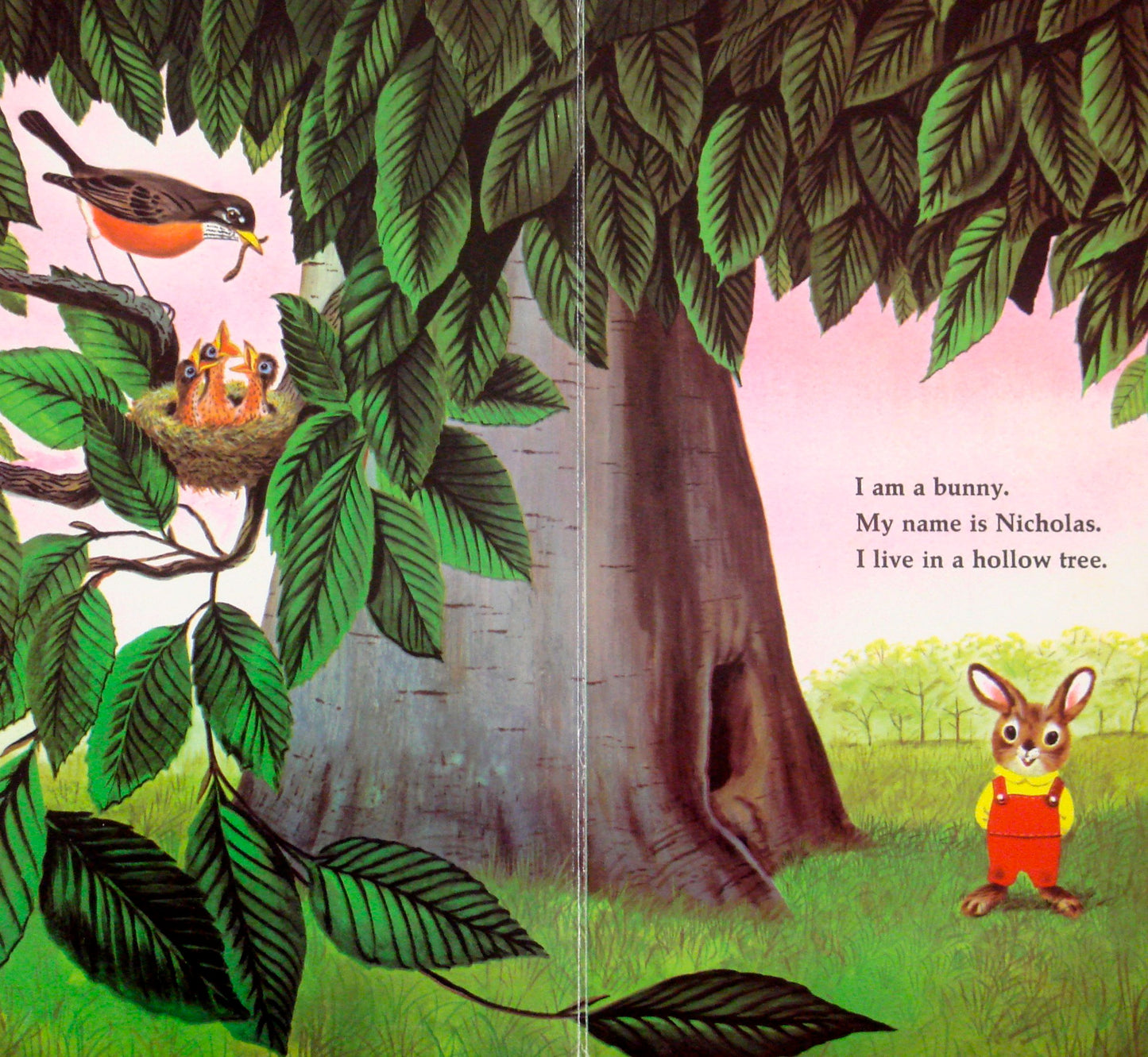I Am A Bunny Board Book by Ole Risom