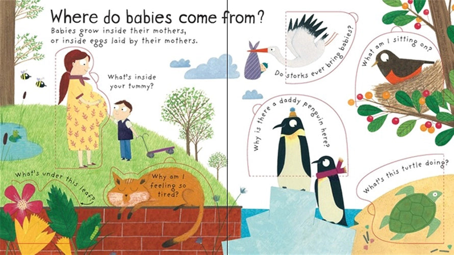 Usborne First Questions & Answers: Where Do Babies Come From?
