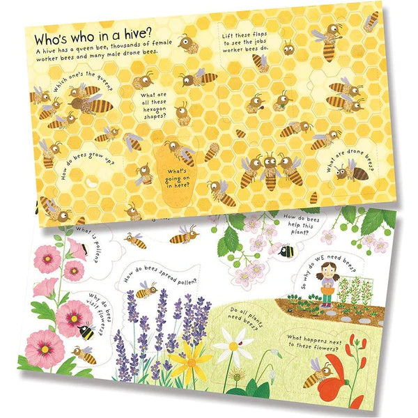 Usborne First Questions & Answers: Why Do We Need Bees?