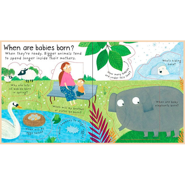 Usborne First Questions & Answers: Where Do Babies Come From?