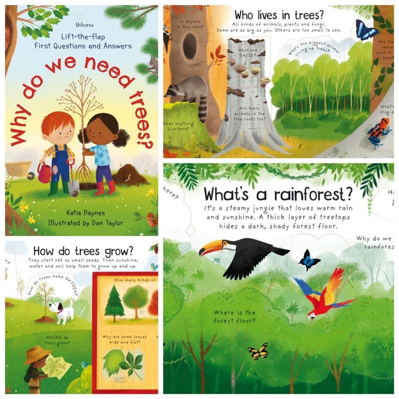 Usborne First Questions & Answers: Why Do We Need Trees?