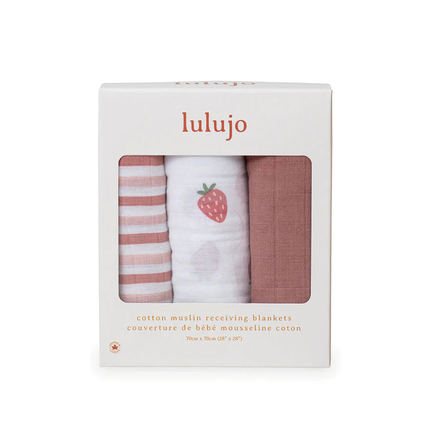 Lulujo Mini Muslin - 27” x 27” (Set of 3)