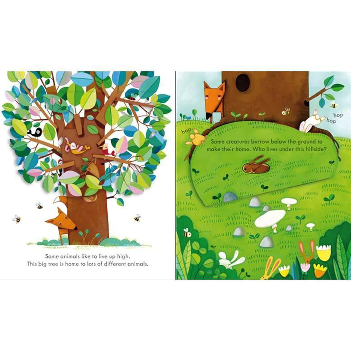 Usborne Peep Inside Animal Homes