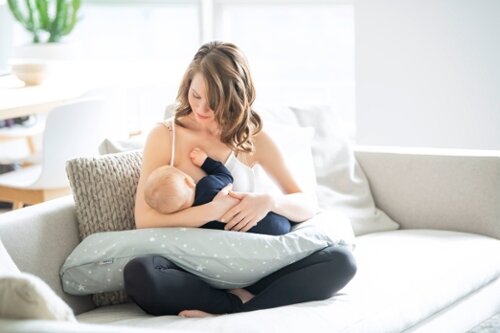 Medela Maternity and Nursing Pillow