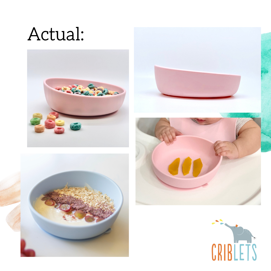 Criblets Silicone Bowl