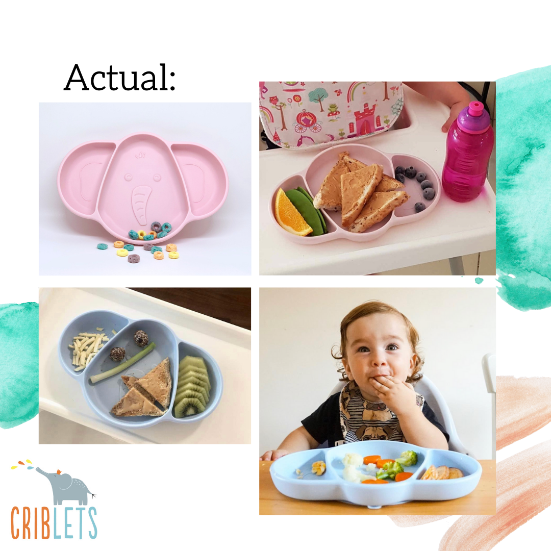 Criblets Elephant Silicone Plate