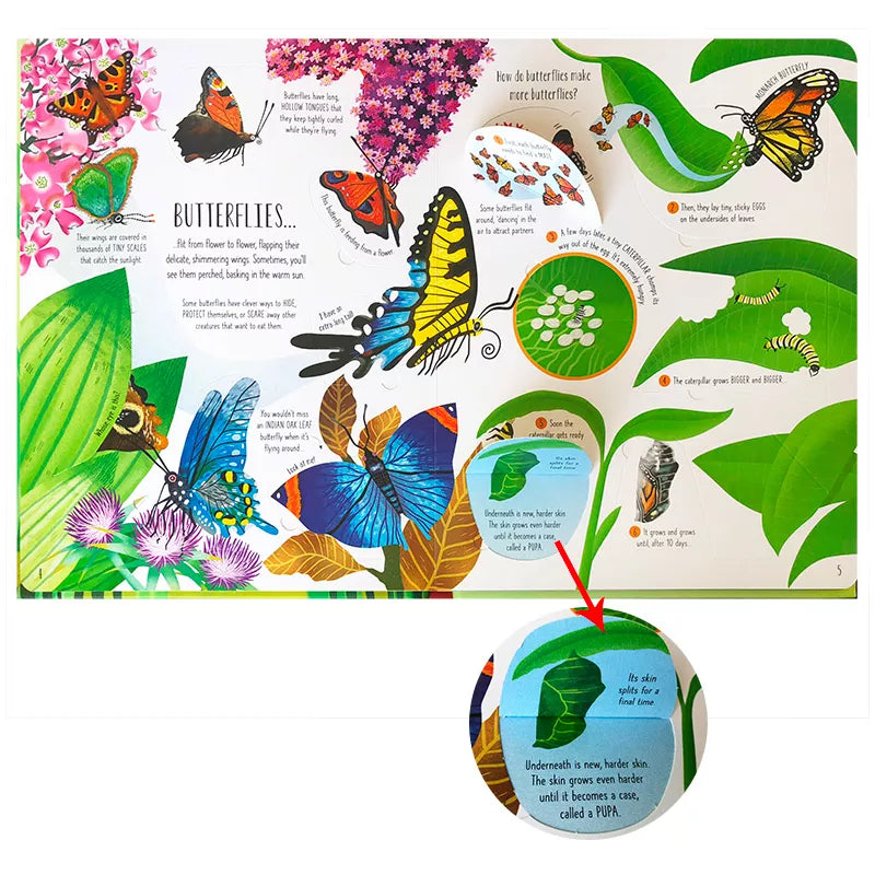 Usborne Lift-The-Flap (Bugs and Butterflies)
