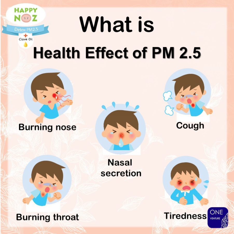 Happy Noz Detox PM 2.5 4's