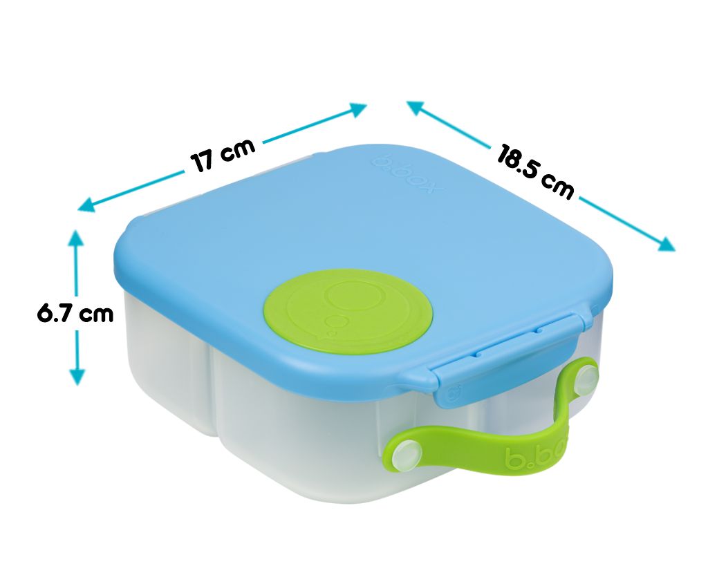 B. Box Mini Bento Lunch Box